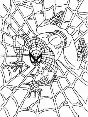 Printable Spiderman Coloring Pages   171702