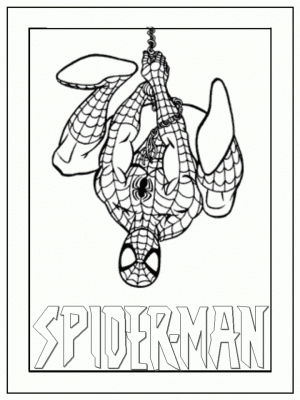 Printable Spiderman Coloring Pages Online   387825