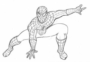 Printable Spiderman Coloring Pages Online   735295
