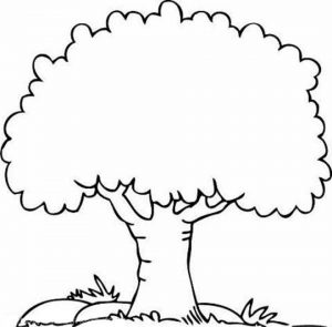 Printable Tree Coloring Pages for Kids   BV21Z