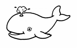 Printable Whale Coloring Pages Online   59307