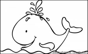 Printable Whale Coloring Pages Online   64038
