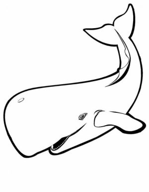 Printable Whale Coloring Pages Online   85256