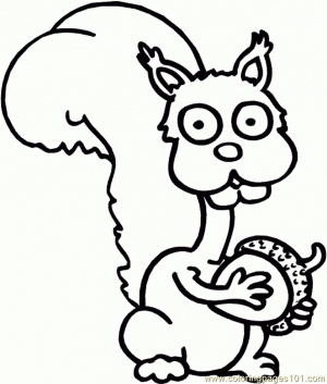 Printables for Toddlers   Squirrel Coloring Pages Online Free   m7pzl
