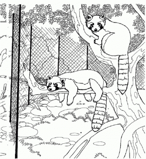 Printables for Toddlers   Zoo Coloring Pages Online Free   64265
