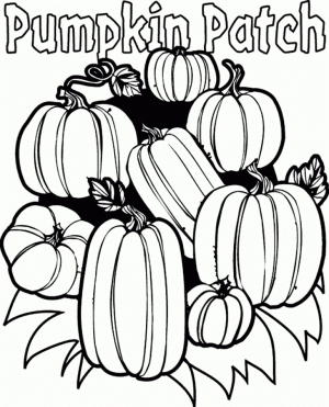 Pumpkin Coloring Pages Free Printable   75320