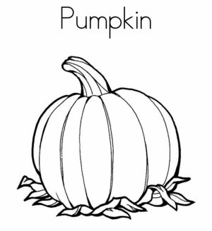Pumpkin Coloring Pages Free Printable   87216