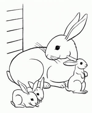 Rabbit Coloring Pages for Toddlers   MHTS9