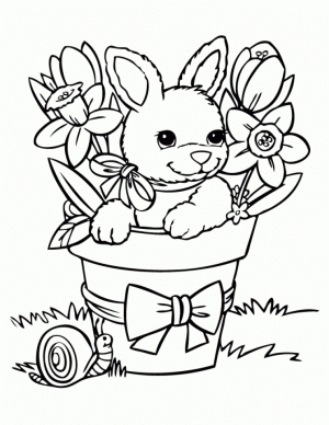 Rabbit Coloring Pages Online Printable   B6QSA