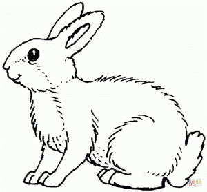 Rabbit Coloring Pages Printable for Kids   WY71R