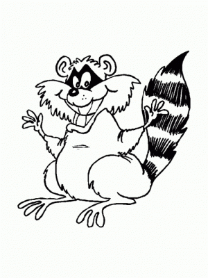 Raccoon Coloring Pages Free Printable   76955