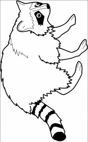 Raccoon Coloring Pages Free Printable   80226