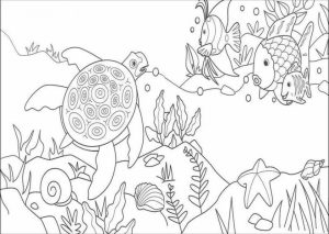 Rainbow Fish Coloring Pages   96758