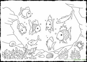 Rainbow Fish Coloring Pages Free   6SGW0