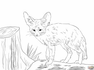 Realistic Fox coloring pages free   pler5