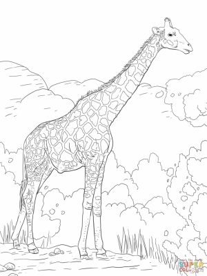 Realistic Giraffe Coloring Pages for Adults   66218