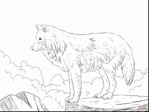 Realistic Wolf Coloring Pages for Adults Free Printable   76831