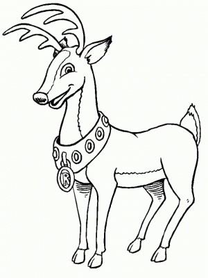 Reindeer Coloring Pages for Kids   21672