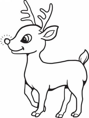 Reindeer Coloring Pages for Kids   63710