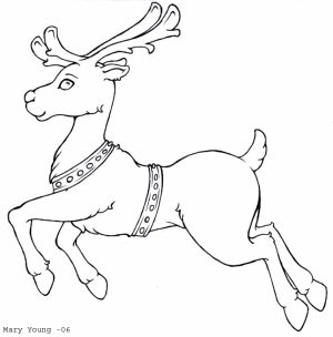 Reindeer Coloring Pages for Kids   73519