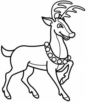 Reindeer Coloring Pages for Kids   94521