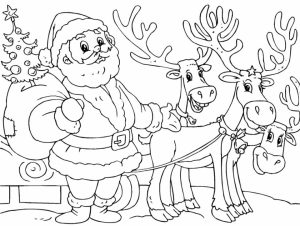 Reindeer Coloring Pages Free for Kids   09571