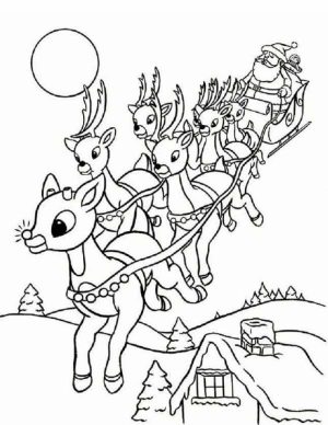 Reindeer Coloring Pages Online   41527