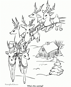 Reindeer Coloring Pages Online   45371