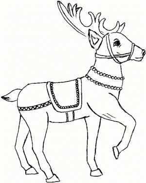 Reindeer Coloring Pages Online   67381