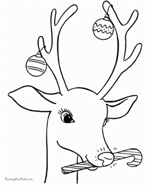 Reindeer Coloring Pages Printable   37201