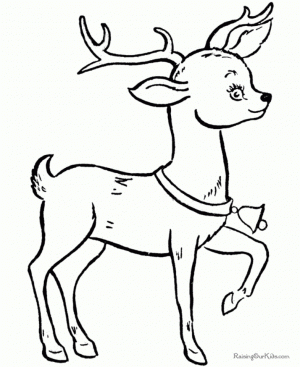 Reindeer Coloring Pages Printable   41841