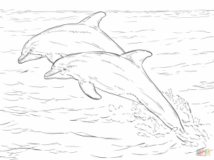 Sea Animal Coloring Pages of Dolphin To Print   28501