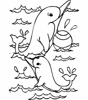 Sea Animals Dolphin Coloring Pages   28193