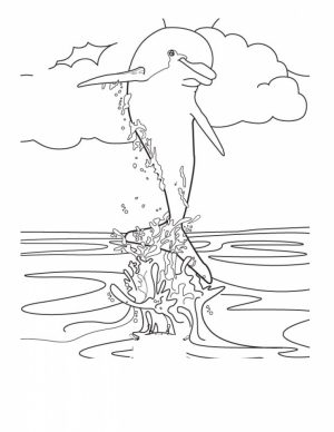 Sea Animals Dolphin Coloring Pages   47192