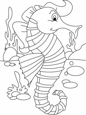 Seahorse Coloring Pages Free Printable   16479