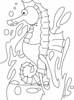 Seahorse Coloring Pages Free Printable   22398
