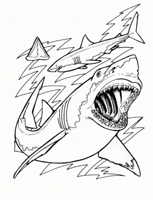 Shark Coloring Pages for Adults   15467