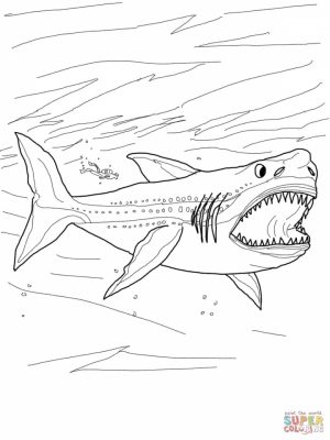 Shark Coloring Pages for Adults   21583