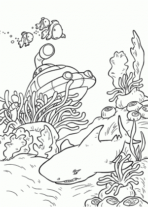 Shark Coloring Pages for Adults   38594