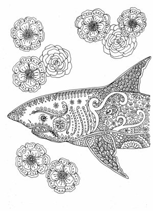 Shark Coloring Pages for Adults   67831