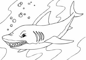 Shark Coloring Pages Printable   41674