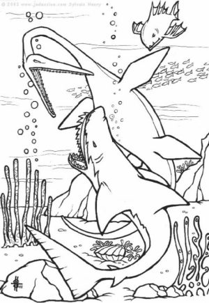 Shark Coloring Pages Printable   63451