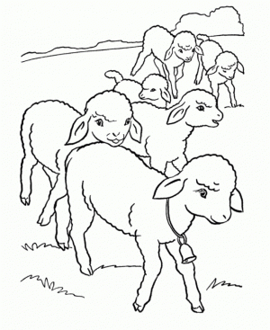 Sheep coloring pages free   nsk0s