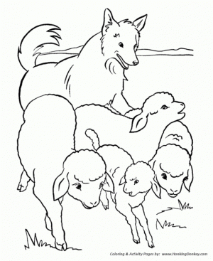 Sheep coloring pages preschool   8210a