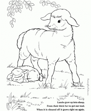 Sheep coloring pages preschool   lepc6