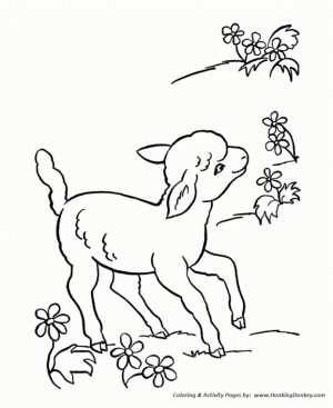 Sheep coloring pages preschool   wra62