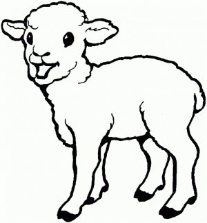 Sheep coloring pages to print   yep67