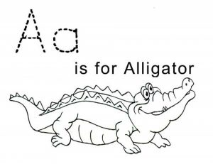 Simple Alligator Coloring Pages to Print for Preschoolers   cdsxi