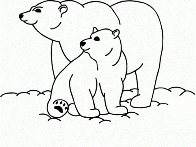 Simpal Polar Bear Coloring Pages 3