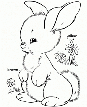 Simple Rabbit Coloring Pages to Print for Preschoolers   0VJOR
